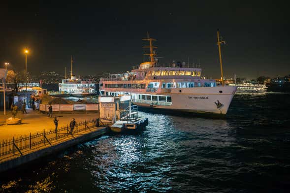 Vistula River Night Cruise