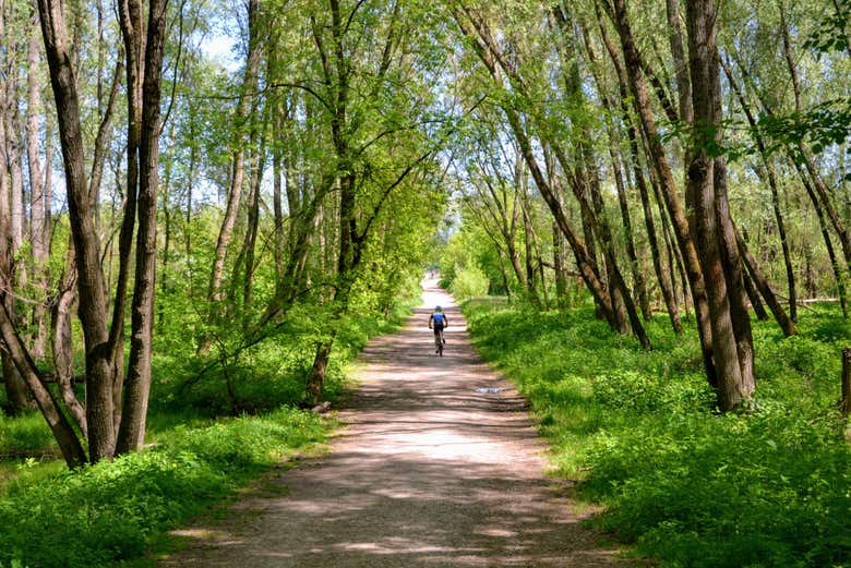 Cycling around Krakow's outskirts