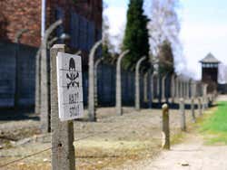 Auschwitz, halt!