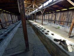 Birkenau, latrine