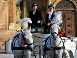 Horse-drawn calash in Main Square