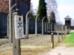 Auschwitz, wire fence