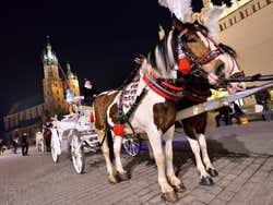 Horse-drawn carriage in Main Square