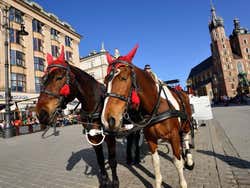 Horse-drawn carriage in the Main Square
