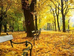 Autumn in Kraków
