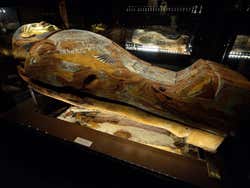 Museum of Archeology in Kraków, mummy