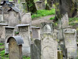 Remuh Synagogue, cemetery
